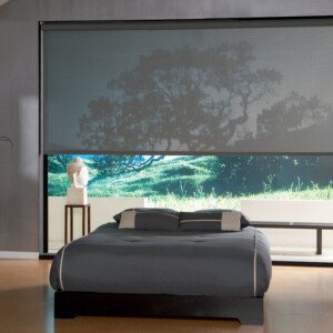 window shade on bedroom window